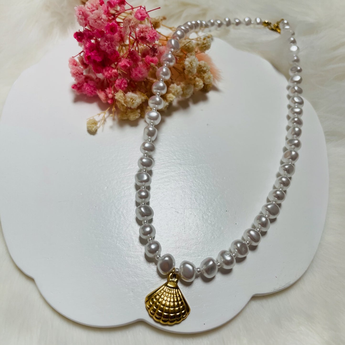 Collier Coquillage