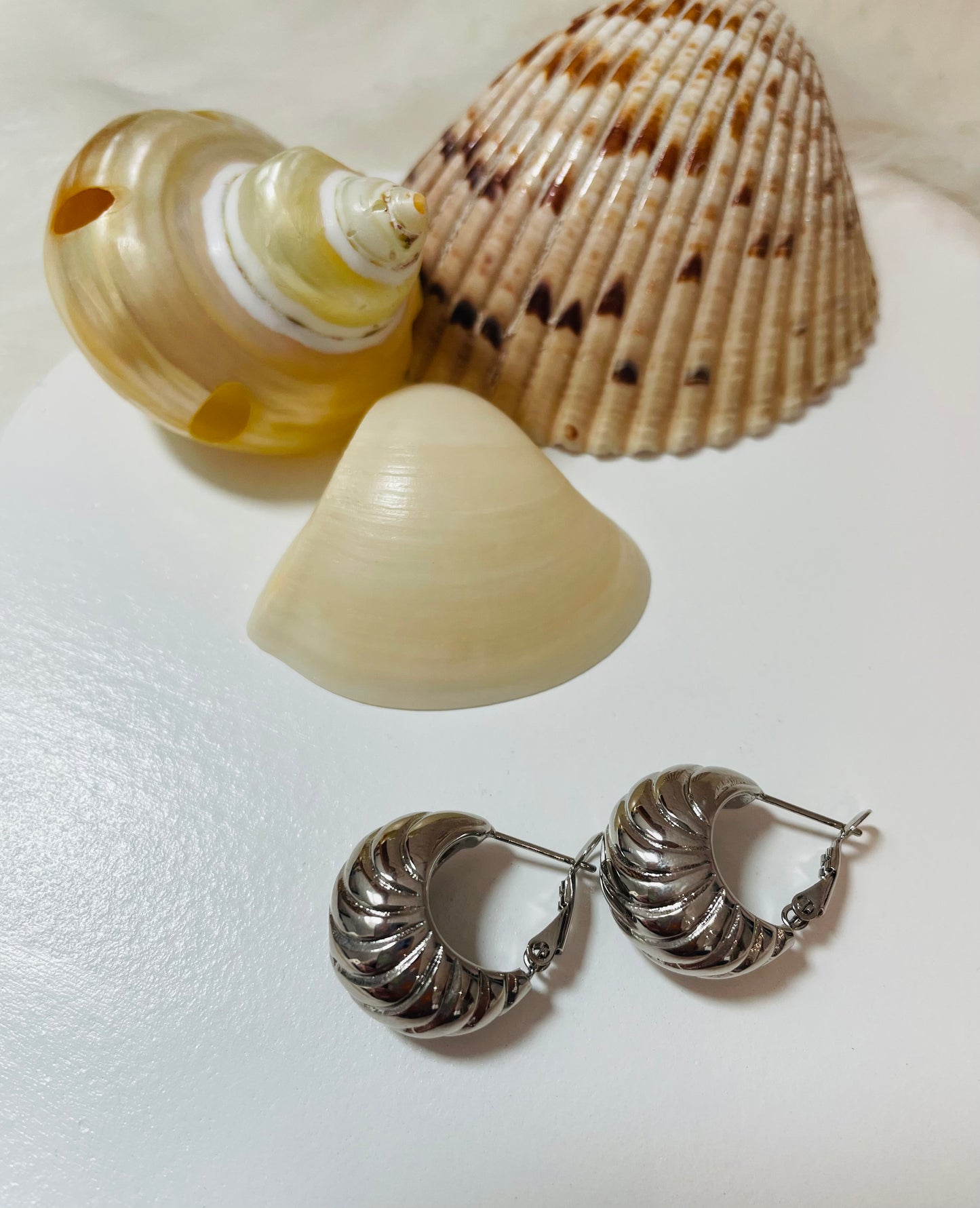 Boucles Coquillage