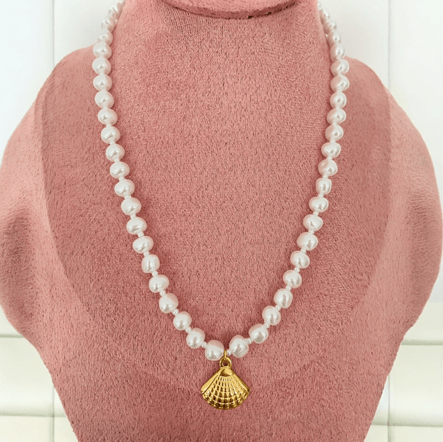 Collier Coquillage