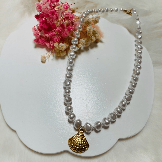 Collier Coquillage