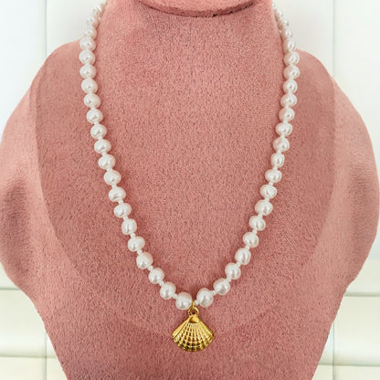 Collier Coquillage