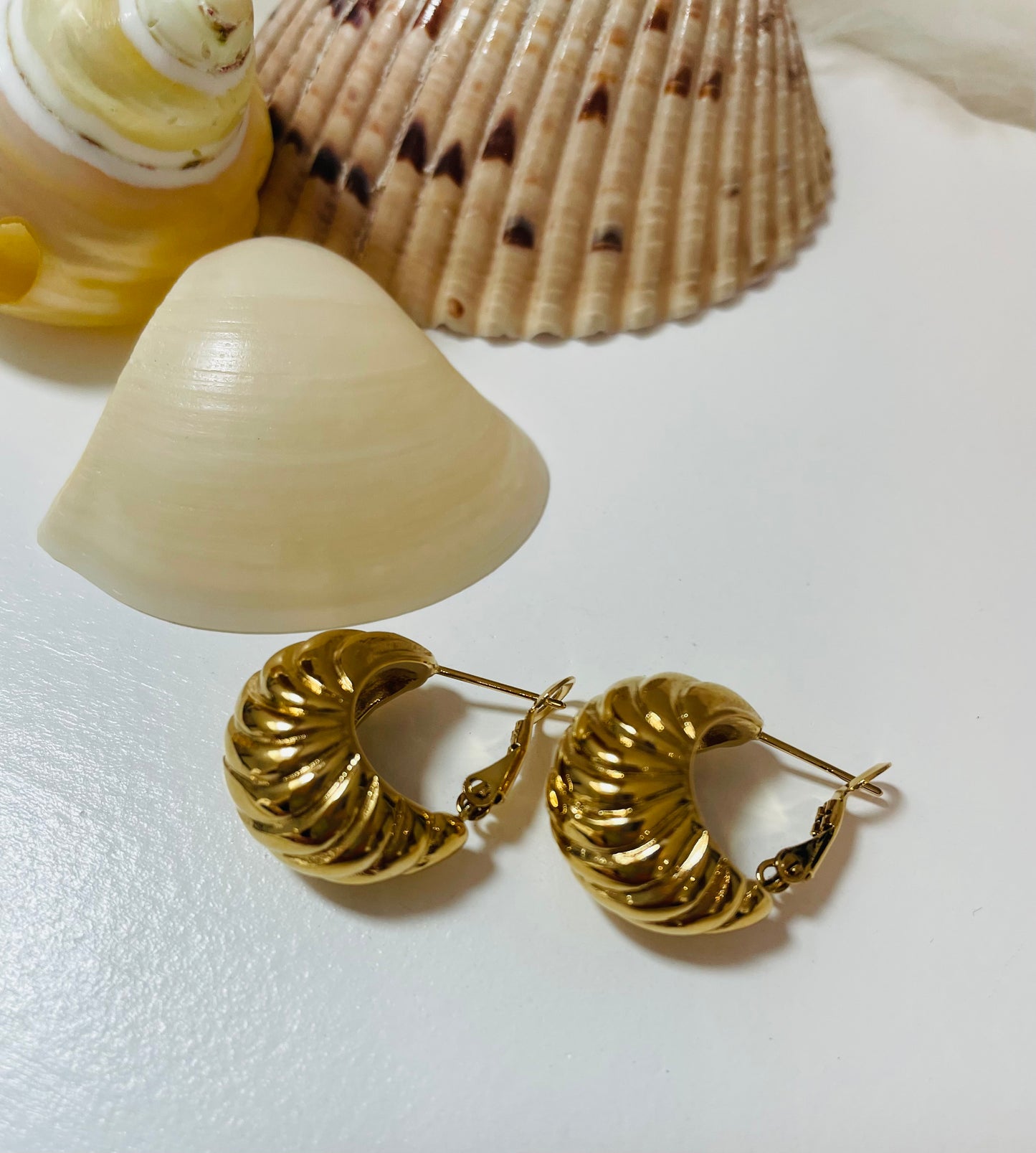 Boucles Coquillage